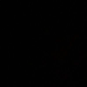 Meet your Posher, Syed